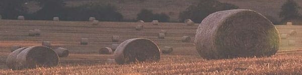 You are currently viewing Safety Tips For Around The Farm